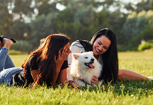 Prima destinazione online dedicata all'acquisto di prodotti veterinari